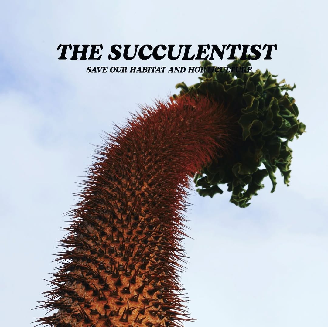 THE SUCCULENTIST®3