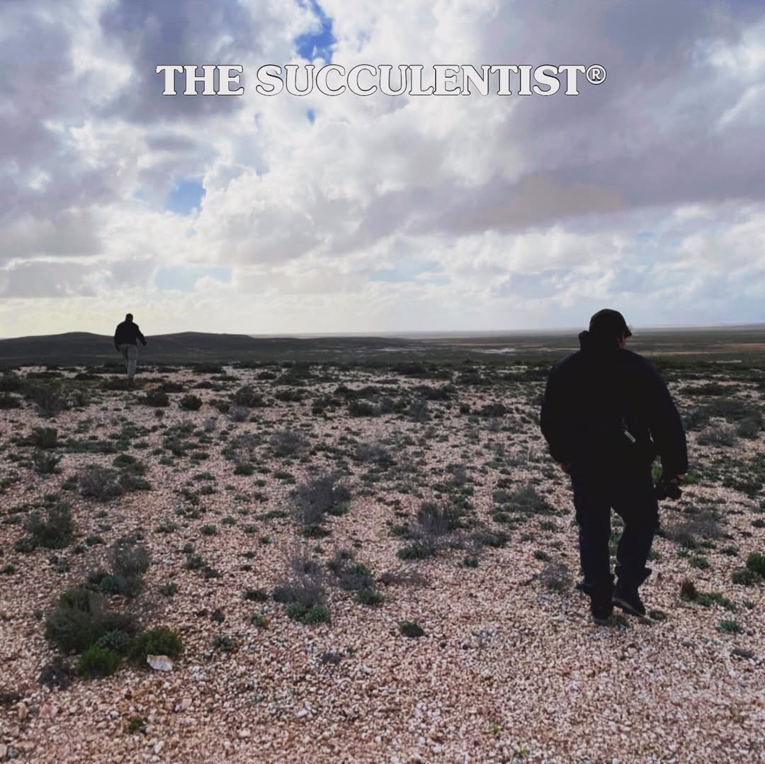 THE SUCCULENTIST®4