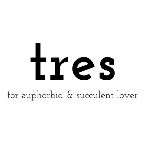tres